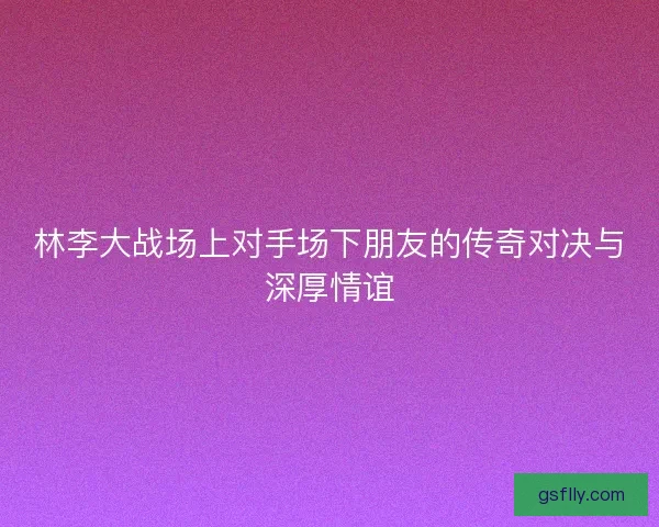 林李大战场上对手场下朋友的传奇对决与深厚情谊