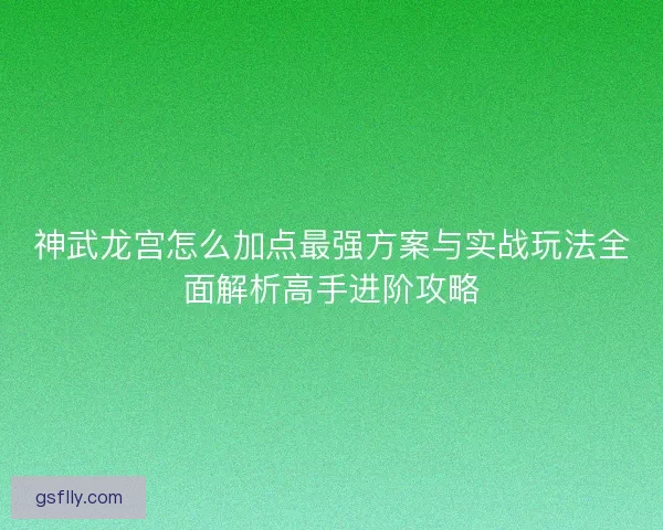 神武龙宫怎么加点最强方案与实战玩法全面解析高手进阶攻略