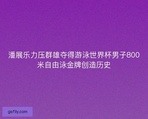 潘展乐力压群雄夺得游泳世界杯男子800米自由泳金牌创造历史